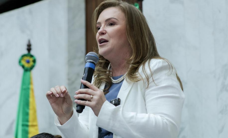 Cuida + Paraná: Governo anuncia evento para gestores de políticas públicas para mulher